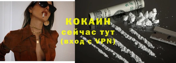 PSILOCYBIN Данков