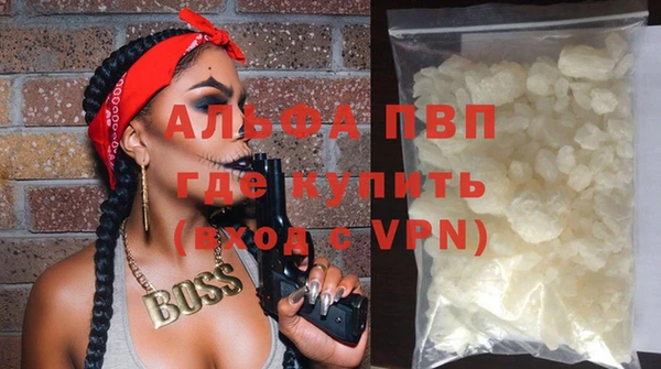 гидра Грязи
