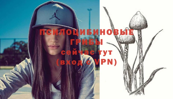 spice Покров